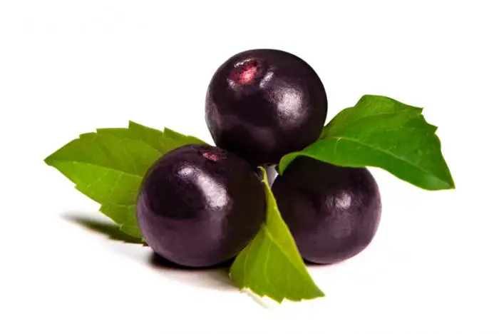 Is Acai Acidic or Alkaline