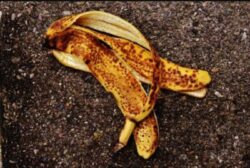 How long does it take Banana Peel to Decompose