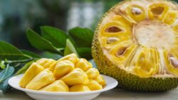 How To Ripen Jack Fruit