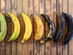 How to store plantain properly